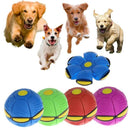 gid://shopify/MediaImage/33283815964918