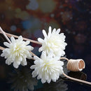 Difusor de Aromas de Perfume Aromatizador de Ambiente Óleo Essencial Difusor de Perfume Óleo Aromático Aromaterapia Rattan Flor de Aromaterapia Flor Artificial