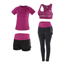 Top Esportivo Feminino, Sutiã Esportivo, Legging Cintura Alta Sem Costura, Shorts Fitness, Cropped de Manga Longa, Roupas de Treino para Mulheres