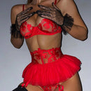 Conjunto de Lingerie Feminina Sexy Sutiã Push Up com Tiras Bordadas em Tule Transparente Conjunto de Lingerie com Calcinha e Sutiã 3 Peças