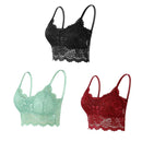 Kit 03 peças Sutiãs de Renda Feminino Top Confortável Bralette Cor Sólida Lingerie Sexy Colete Feminino Vazado Sem Arame Sutiã Sem Costura