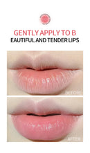 Conjunto de 8 unidades/caixa de Bálsamo Labial de Frutas Hidratante Base Anti-Ressecamento Cuidado da Pele dos Lábios