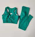 Conjunto de 2 Peças de Sutiã Esportivo Feminino Top de Fitness Profissional Sutiã Anti-Choque Leggings de Corrida Conjunto de Yoga Sutiã com Costas Bonitas
