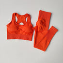Conjunto de 2 Peças de Sutiã Esportivo Feminino Top de Fitness Profissional Sutiã Anti-Choque Leggings de Corrida Conjunto de Yoga Sutiã com Costas Bonitas