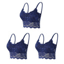 Kit 03 peças Sutiãs de Renda Feminino Top Confortável Bralette Cor Sólida Lingerie Sexy Colete Feminino Vazado Sem Arame Sutiã Sem Costura