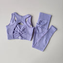 Conjunto de 2 Peças de Sutiã Esportivo Feminino Top de Fitness Profissional Sutiã Anti-Choque Leggings de Corrida Conjunto de Yoga Sutiã com Costas Bonitas
