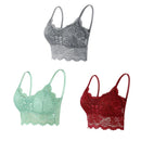 Kit 03 peças Sutiãs de Renda Feminino Top Confortável Bralette Cor Sólida Lingerie Sexy Colete Feminino Vazado Sem Arame Sutiã Sem Costura