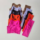 Conjunto de 2 Peças de Sutiã Esportivo Feminino Top de Fitness Profissional Sutiã Anti-Choque Leggings de Corrida Conjunto de Yoga Sutiã com Costas Bonitas