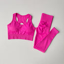 Conjunto de 2 Peças de Sutiã Esportivo Feminino Top de Fitness Profissional Sutiã Anti-Choque Leggings de Corrida Conjunto de Yoga Sutiã com Costas Bonitas