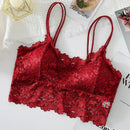 Kit 03 peças Sutiãs de Renda Feminino Top Confortável Bralette Cor Sólida Lingerie Sexy Colete Feminino Vazado Sem Arame Sutiã Sem Costura
