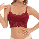 Kit 03 peças Sutiãs de Renda Feminino Top Confortável Bralette Cor Sólida Lingerie Sexy Colete Feminino Vazado Sem Arame Sutiã Sem Costura