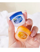 Conjunto de 8 unidades/caixa de Bálsamo Labial de Frutas Hidratante Base Anti-Ressecamento Cuidado da Pele dos Lábios