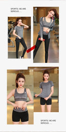 Top Esportivo Feminino, Sutiã Esportivo, Legging Cintura Alta Sem Costura, Shorts Fitness, Cropped de Manga Longa, Roupas de Treino para Mulheres