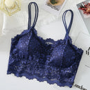 Kit 03 peças Sutiãs de Renda Feminino Top Confortável Bralette Cor Sólida Lingerie Sexy Colete Feminino Vazado Sem Arame Sutiã Sem Costura