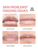 Conjunto de 8 unidades/caixa de Bálsamo Labial de Frutas Hidratante Base Anti-Ressecamento Cuidado da Pele dos Lábios