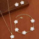 Conjunto de Joias de Luxo para Mulheres Corrente de Cor Prata em Aço Inoxidável Colar, Brincos e Pulseira Dupla Face com Flor de Cinco Folhas Trevo