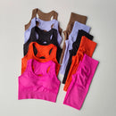 Conjunto de 2 Peças de Sutiã Esportivo Feminino Top de Fitness Profissional Sutiã Anti-Choque Leggings de Corrida Conjunto de Yoga Sutiã com Costas Bonitas