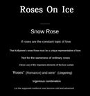 Fragrância Duradoura 50ML Perfume de marca de alta qualidade Aroma frutado levemente embriagante Cheiro calmo e tranquilo de cedro