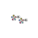 Brincos de Pino com Fecho de Parafuso em Zircônia Cúbica de Aço Inoxidável 316L 2/12pcs, Borboleta Coração Arco-Íris Gato Flor Brincos de Cartilagem
