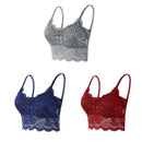 Kit 03 peças Sutiãs de Renda Feminino Top Confortável Bralette Cor Sólida Lingerie Sexy Colete Feminino Vazado Sem Arame Sutiã Sem Costura