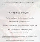 Fragrância Duradoura 50ML Perfume de marca de alta qualidade Aroma frutado levemente embriagante Cheiro calmo e tranquilo de cedro