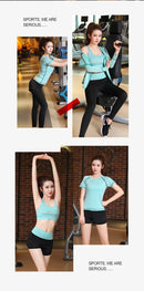 Top Esportivo Feminino, Sutiã Esportivo, Legging Cintura Alta Sem Costura, Shorts Fitness, Cropped de Manga Longa, Roupas de Treino para Mulheres