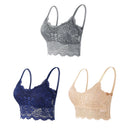 Kit 03 peças Sutiãs de Renda Feminino Top Confortável Bralette Cor Sólida Lingerie Sexy Colete Feminino Vazado Sem Arame Sutiã Sem Costura