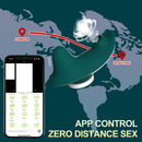 App Vibrador de calcinha para mulheres Controle remoto Bluetooth Chupador de clitóris Mini  18+