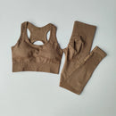 Conjunto de 2 Peças de Sutiã Esportivo Feminino Top de Fitness Profissional Sutiã Anti-Choque Leggings de Corrida Conjunto de Yoga Sutiã com Costas Bonitas