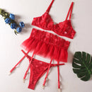 Conjunto de Lingerie Feminina Sexy Sutiã Push Up com Tiras Bordadas em Tule Transparente Conjunto de Lingerie com Calcinha e Sutiã 3 Peças