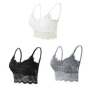 Kit 03 peças Sutiãs de Renda Feminino Top Confortável Bralette Cor Sólida Lingerie Sexy Colete Feminino Vazado Sem Arame Sutiã Sem Costura