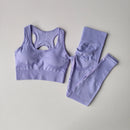 Conjunto de 2 Peças de Sutiã Esportivo Feminino Top de Fitness Profissional Sutiã Anti-Choque Leggings de Corrida Conjunto de Yoga Sutiã com Costas Bonitas