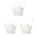 Kit 03 peças Sutiãs de Renda Feminino Top Confortável Bralette Cor Sólida Lingerie Sexy Colete Feminino Vazado Sem Arame Sutiã Sem Costura