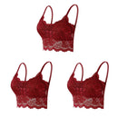 Kit 03 peças Sutiãs de Renda Feminino Top Confortável Bralette Cor Sólida Lingerie Sexy Colete Feminino Vazado Sem Arame Sutiã Sem Costura